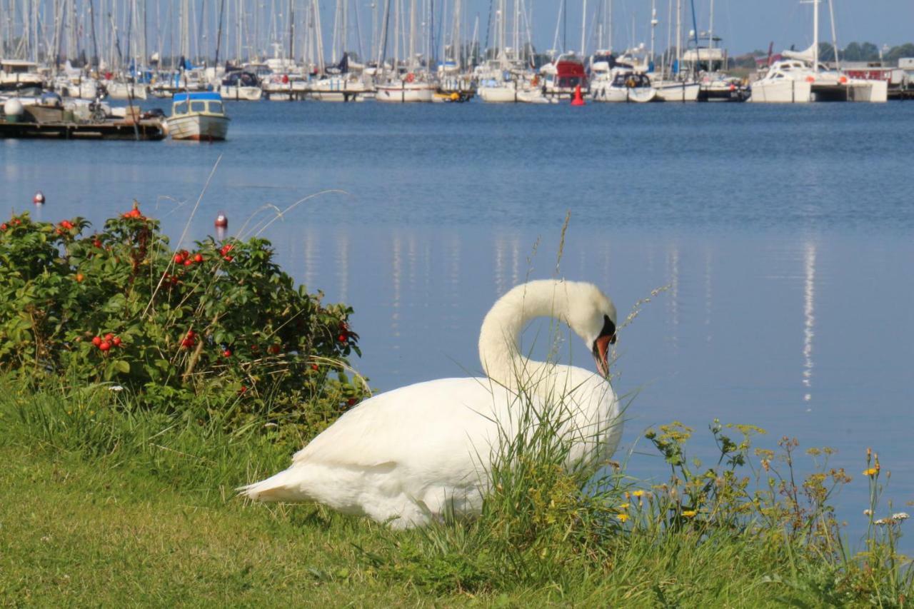2Zi-Ferienwohnung Am Suedstrand Mit Eigenem Parkplatz Perfekt Fuer Familie Burgtiefe auf Fehmarn Zewnętrze zdjęcie
